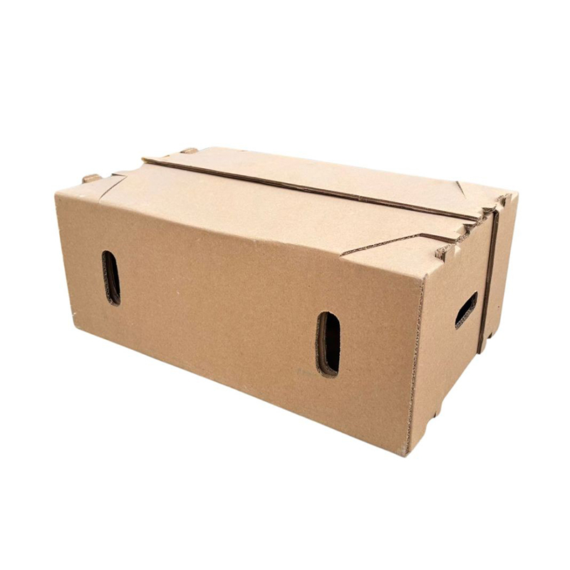 Caja carne alta resistencia