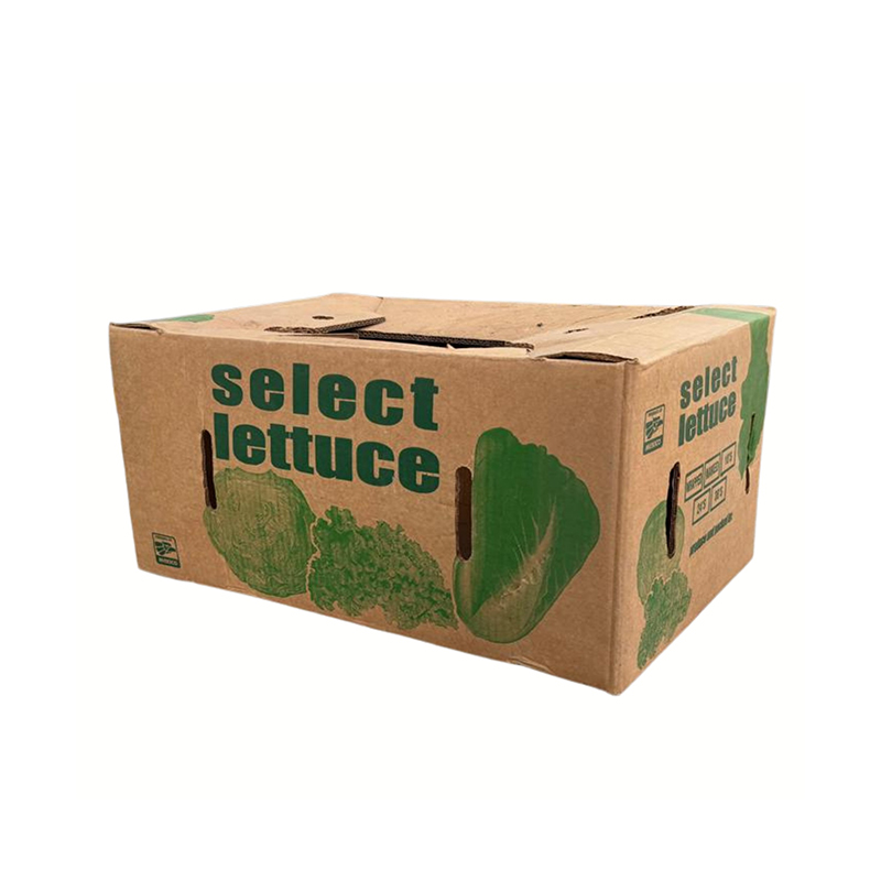 agricola caja lechuga