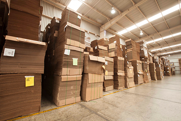 Cómo elegir la caja adecuada para tu producto agrícola